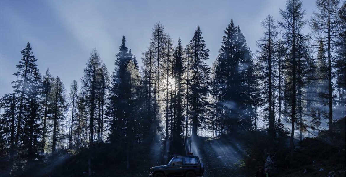 Railway Bogie Chevron Spring Rubber