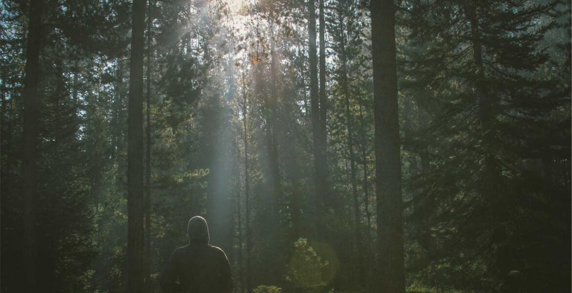 Rock Crusher Screening Plant Vibration