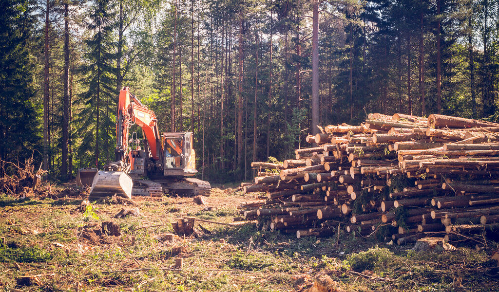 Doosan Excavator Construction Machinery