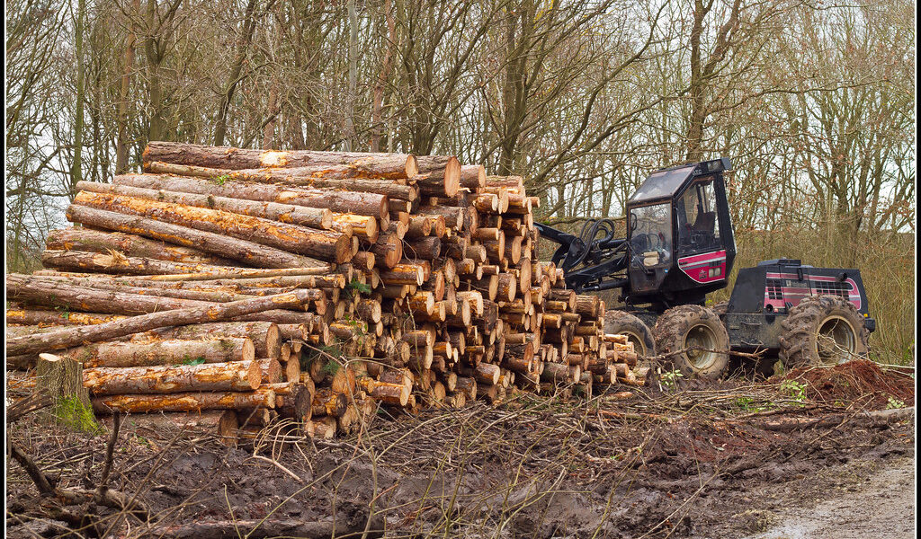 Forestry Harvester Machine Logging