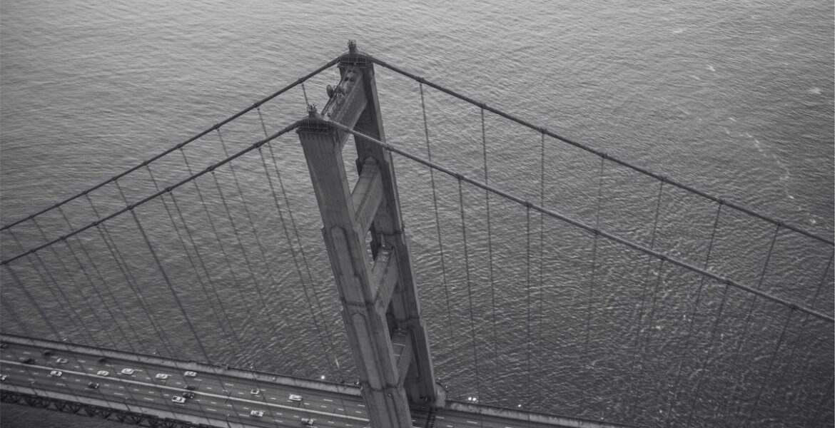 Excavator Hydraulic Cylinder Seal