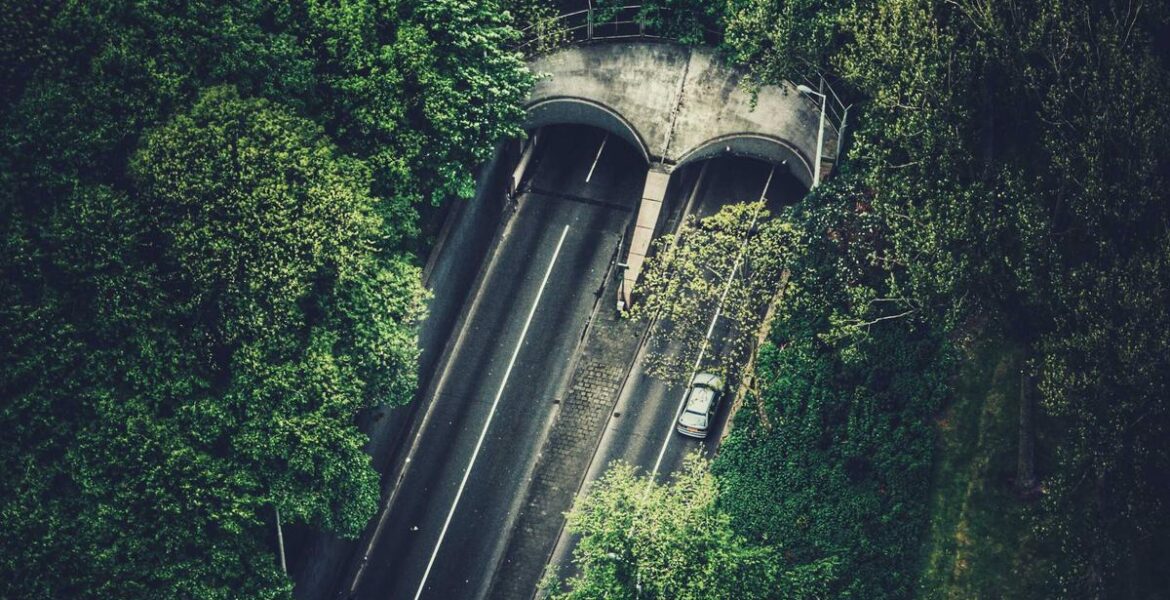 Industrial Coupling Power Transmission Machinery