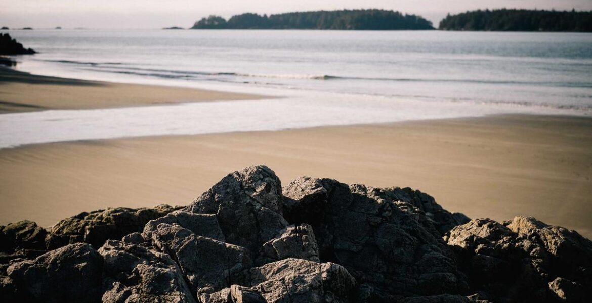 John Deere Tractor Rubber Mounts