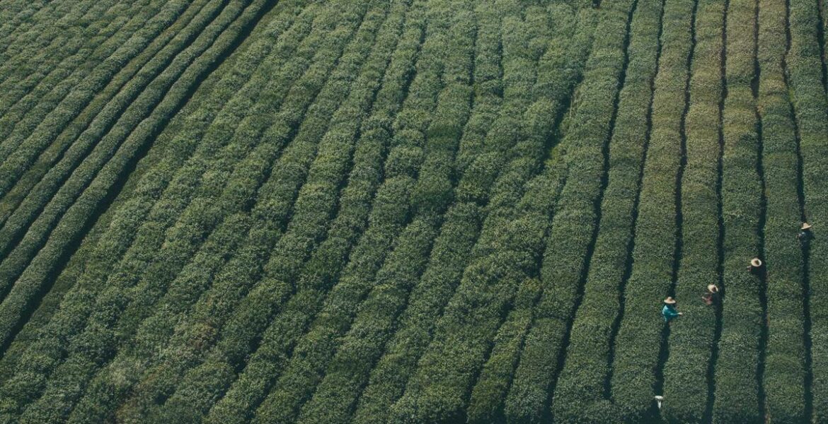 Komatsu Excavator Rubber Mount