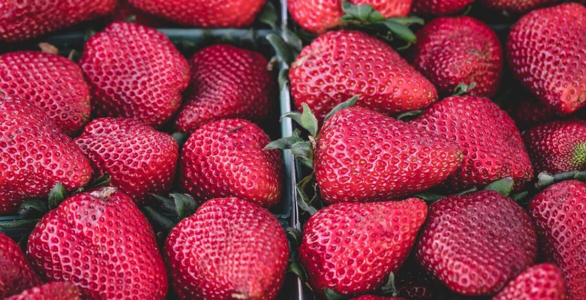 Liebherr Wheel Loader Rubber Parts