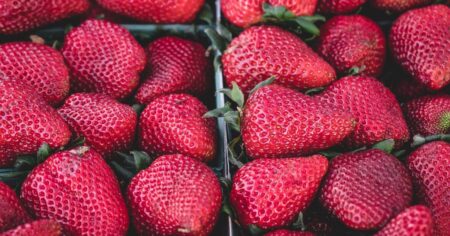 Liebherr Wheel Loader Rubber Parts