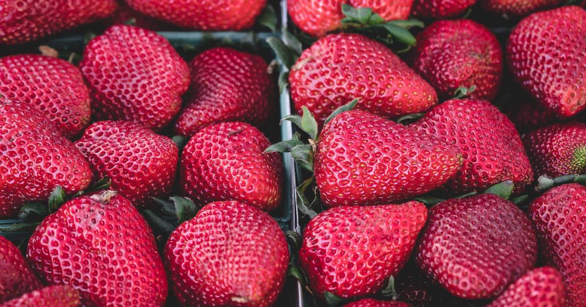 Liebherr Wheel Loader Rubber Parts