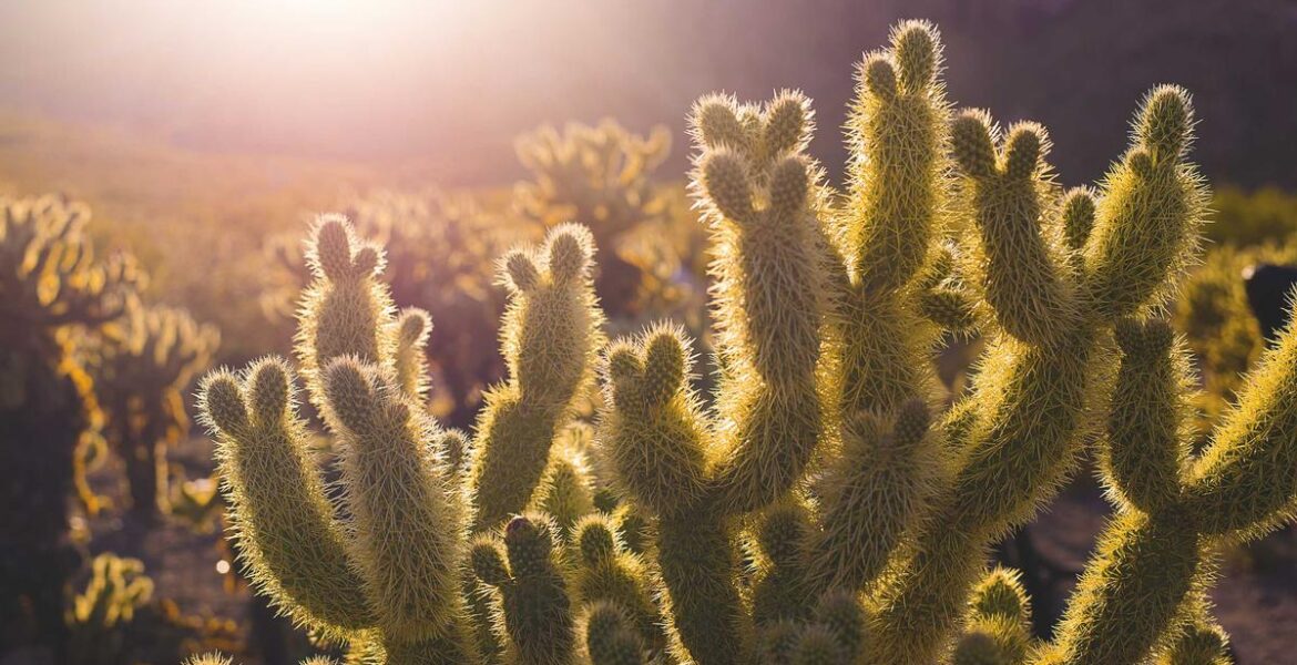 Rubber Parts Quality Comparison