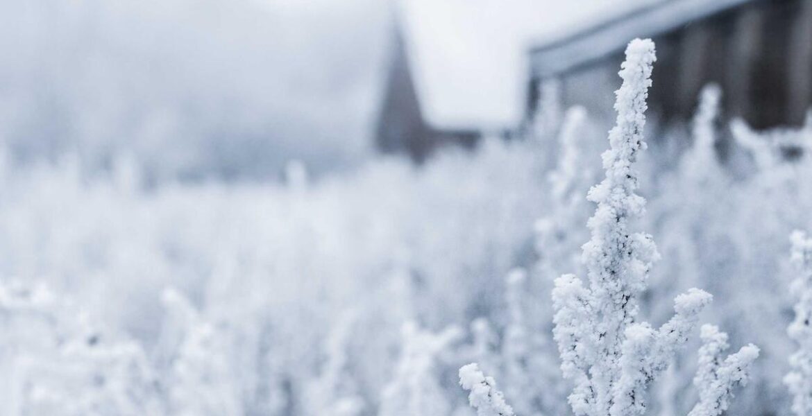 Polyurethane Rubber Bushing