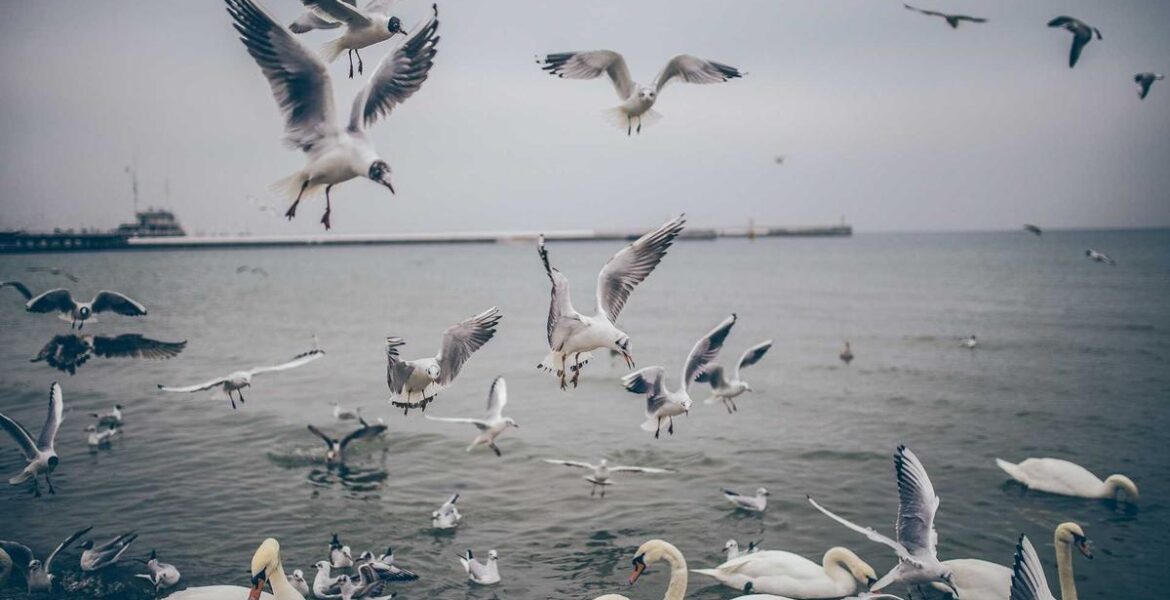 Industrial Pipe Expansion Joint Flexible