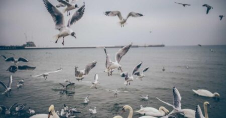 Industrial Pipe Expansion Joint Flexible