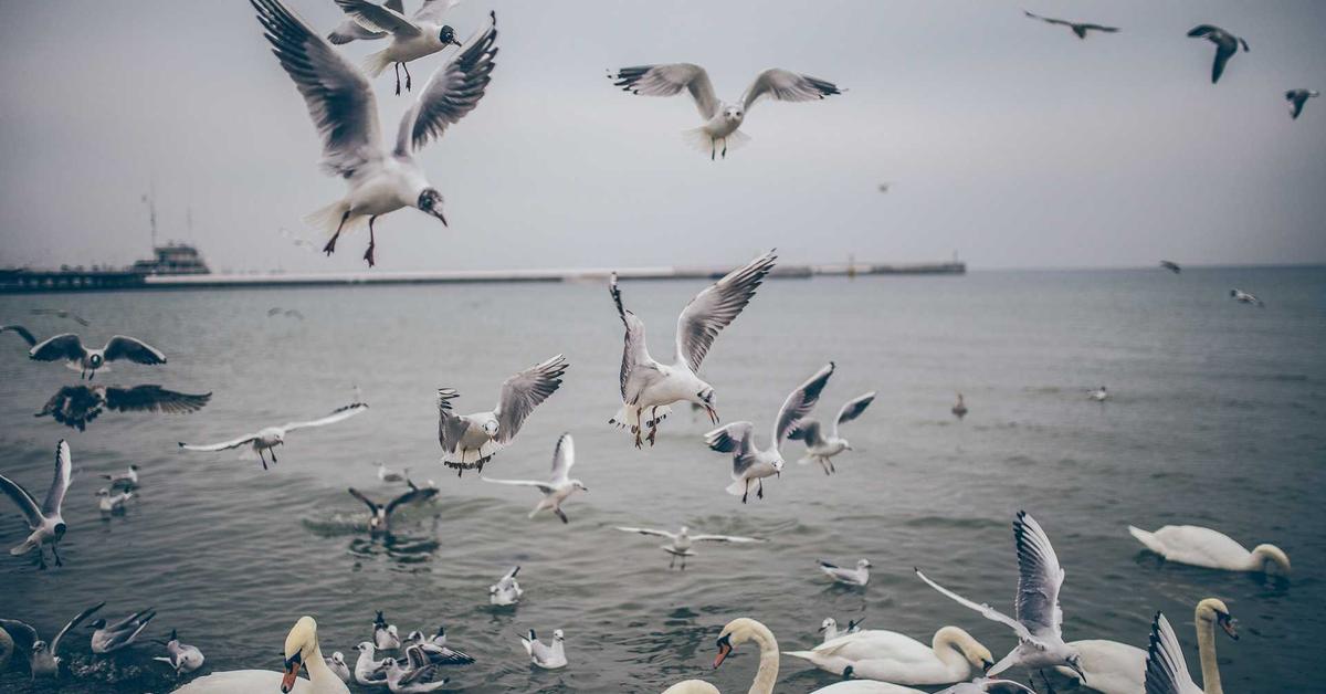 Industrial Pipe Expansion Joint Flexible