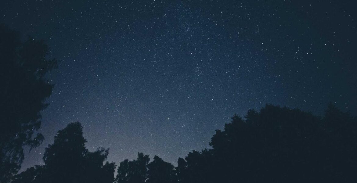 Sany Xcmg Excavator Construction