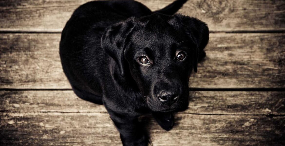 Underground Mine Loader Lhd Tunnel