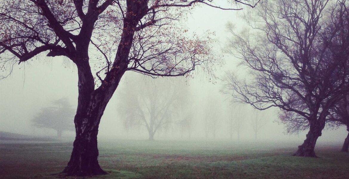 Komatsu 20Y-54-65820 Cab Mount